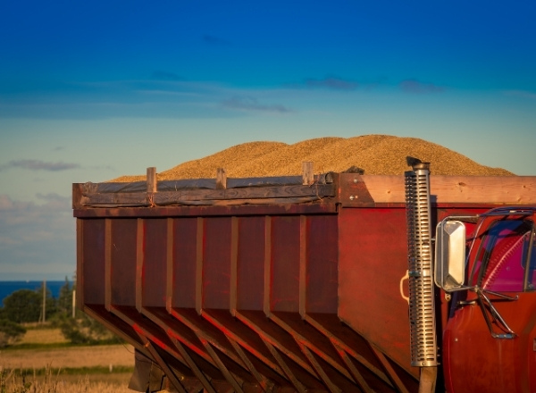 Grain in storage ready for delivery