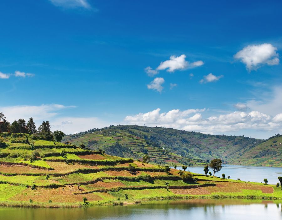 Imena Commodities farmland in Northern Uganda